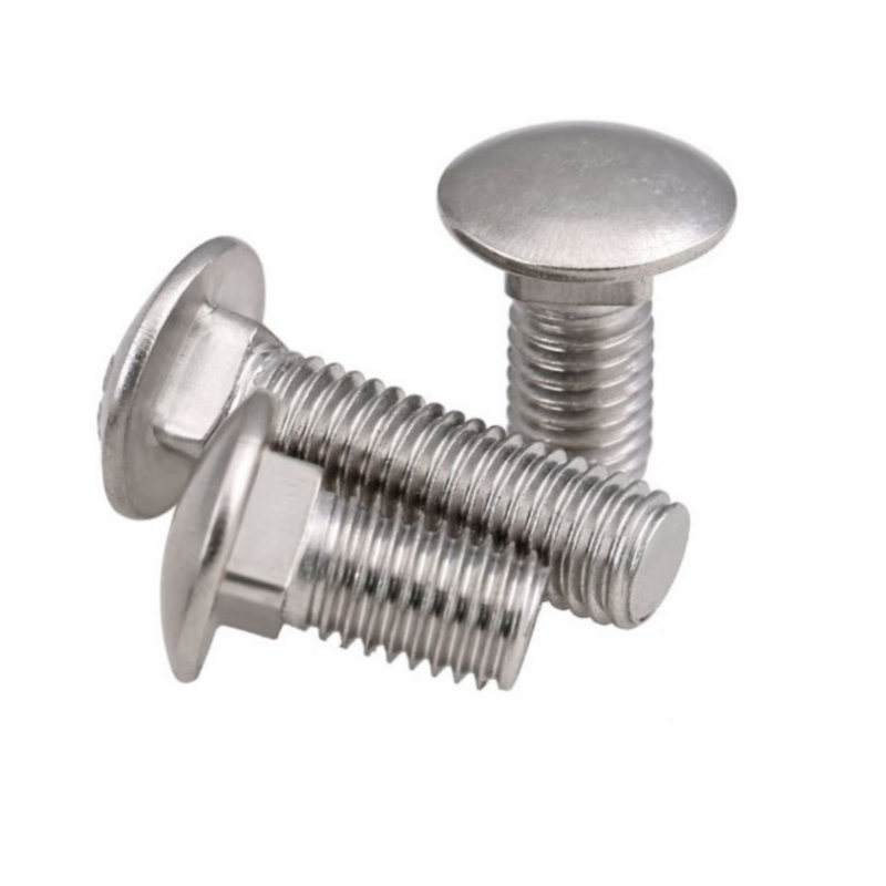 Solar Fastener DIN603 Stainless Steel Carriage Bolt M8