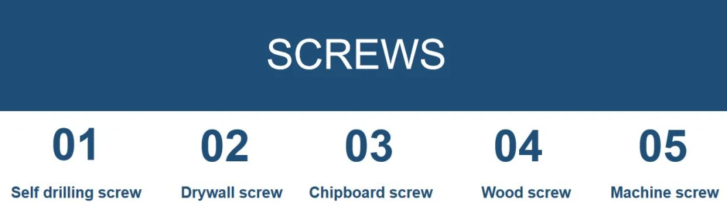 China Screw Factory Wood Screw/Self Tapping Screw/Drywall Screw/Drilling Screw/Machine Screw/Hex Large Coach Screw DIN571/Chipboard Screw/Machine Screw/Tornillo