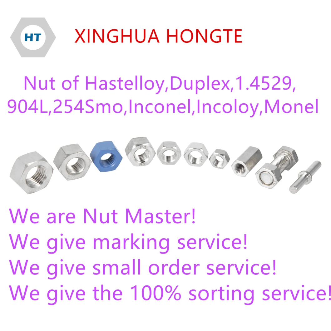 1.4529 Incoloy926 DIN1587 Hex Cap Nuts