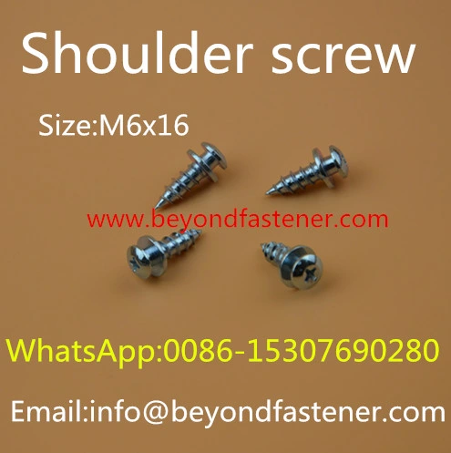 Screw/Bolts/Special Bolts/Step Screw/Fastener