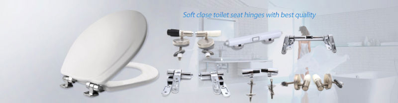 Toilet Seat Lid Hinges Rotary Damper Hinges Soft Close Hinges Blind Nut
