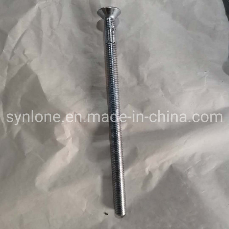 Customized Stainless Steel Self Tapping Screw/Driling Screw/Wood Screw for Machinery