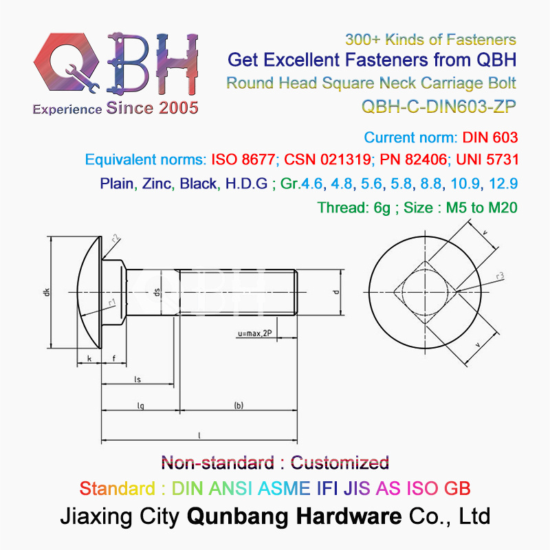 Qbh Carriage Bolts (DIN603, Cl. 6.8) Factory Service