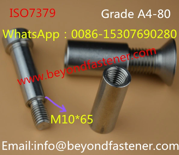 Special Screw/ Step Screw/ Tapping Screw (GM010) /Special Bolts