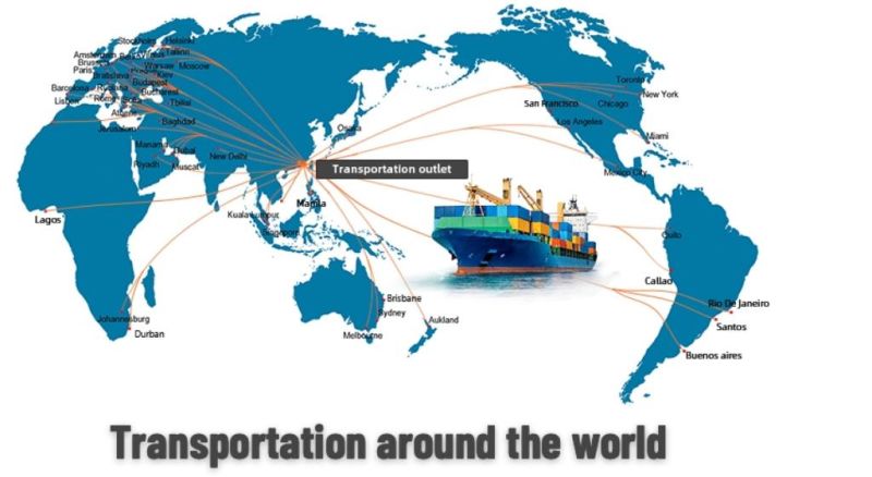 China to USA Freight Logistics Sea Shipping Agent