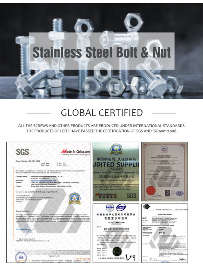 Stainless Steel Carriage Bolt Fastener Flange Bolt Hardware