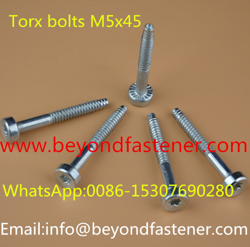 Bolts Sems Screw Socket Cap Screw Slot Screw/Sems Bolts/Screw