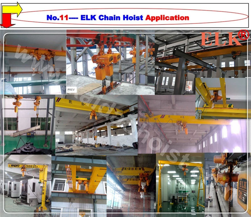 Elk 1ton Jib Crane / Mobile Crane /Hoist Crane/Wall Crane