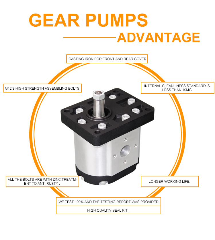 Gear Pump 1/8" Taper Shaft, 4 Bolt European Flange, 3/8" Bsp Threaded Suction & Delivery Ports.