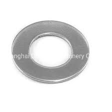 Plain Washer/Flat Washer/Dacromet/Zp/Stainless Steel/Carbon Steel/Fastener/Washer /DIN125 /Standard Flat Washer and Spring Washer