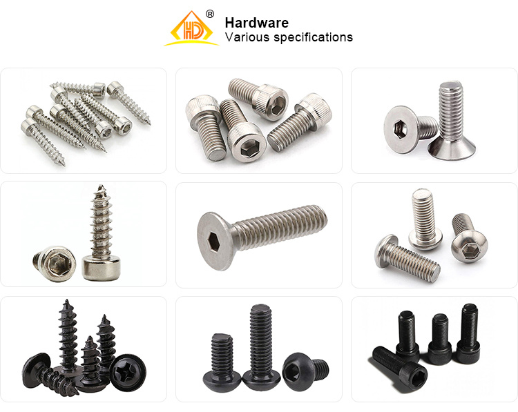 #8 SS304 Slotted Pan Head Self Tapping Screw