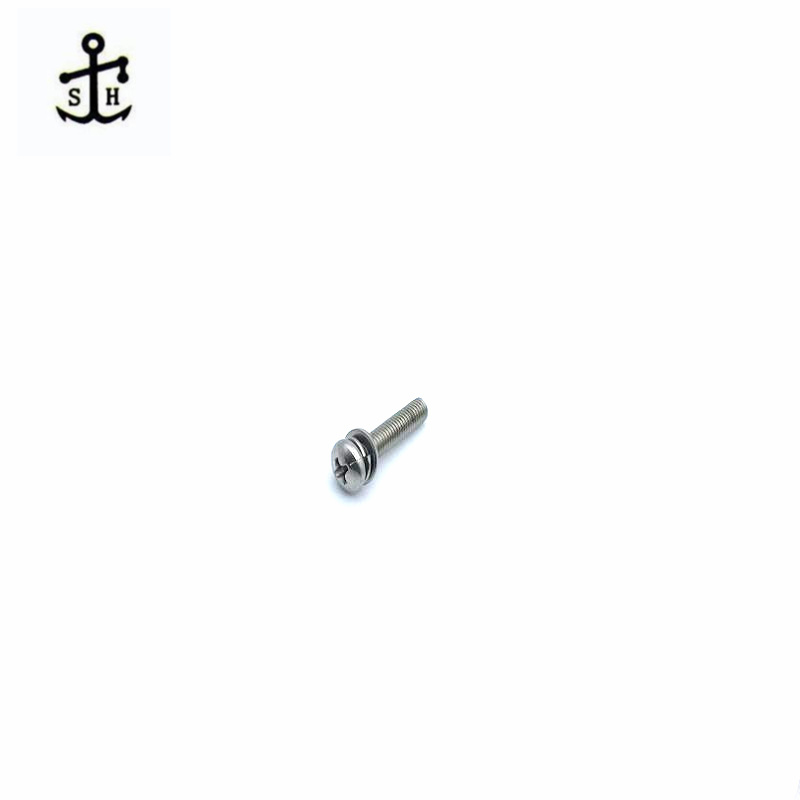 Ss Bolt or Screw and Washer Assemblies with Plain Washers Made in China