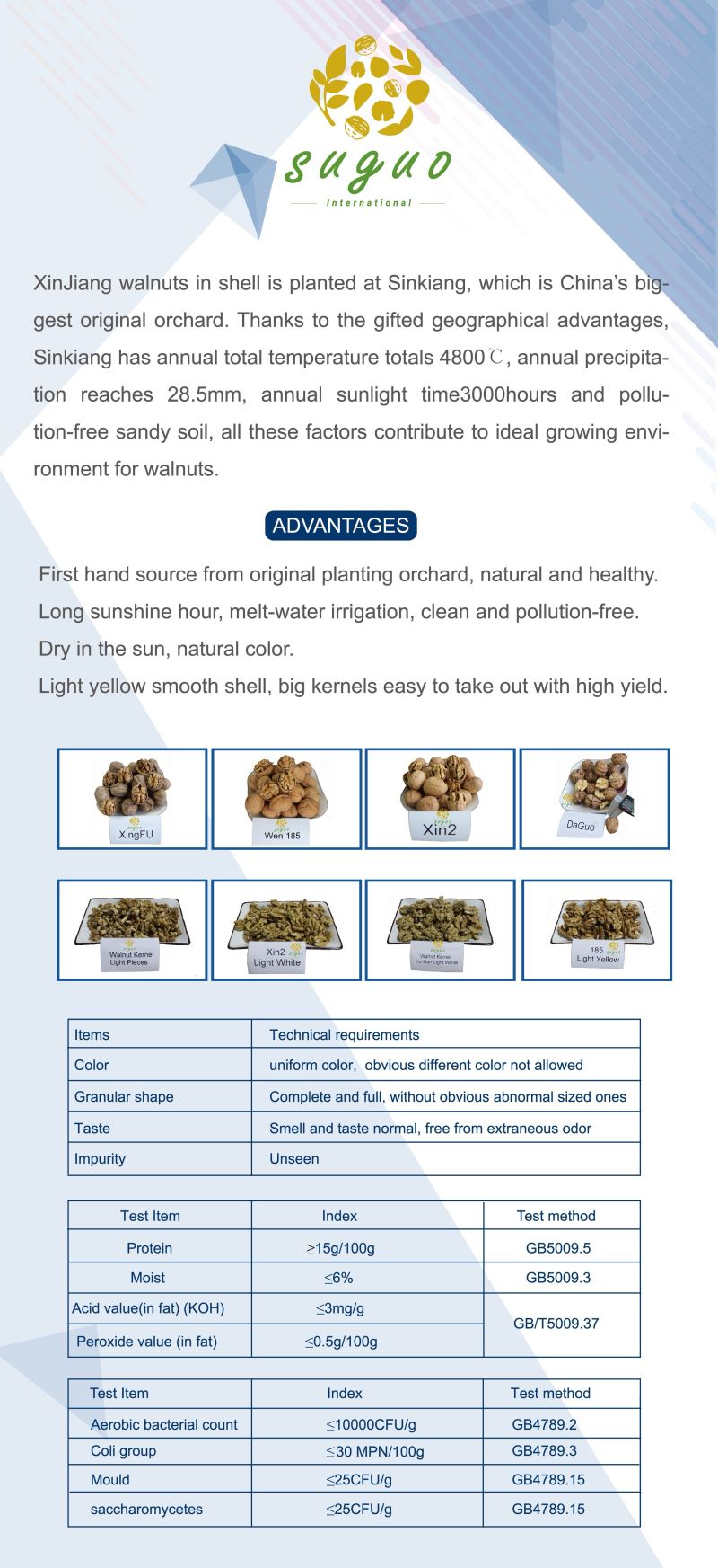 China Chinese Nuts Factory of Walnut Peeled Walnut/ 080231 080232