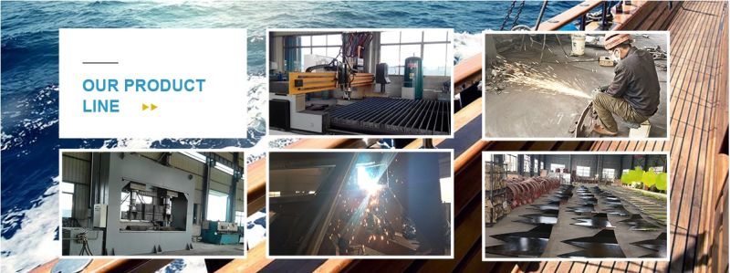5000kg Marine Steel Stevprise Anchor, Mk5 Anchor, Stingray Super High Holding Power Hhp Anchor Factory