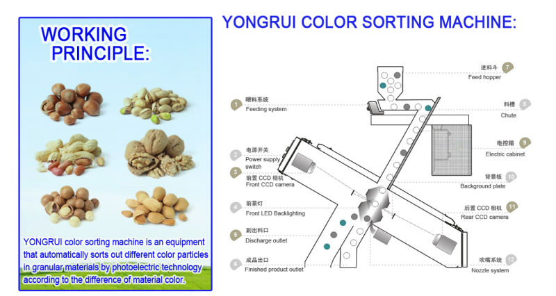Pine Nut CCD Color Sorter for Nuts and Grain