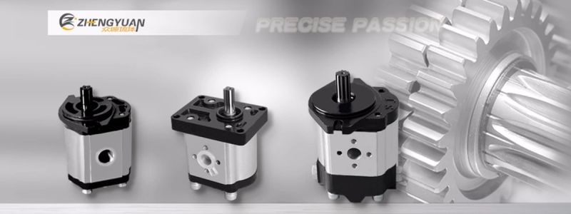 Gear Pump 1/8" Taper Shaft, 4 Bolt European Flange, 3/8" Bsp Threaded Suction & Delivery Ports.