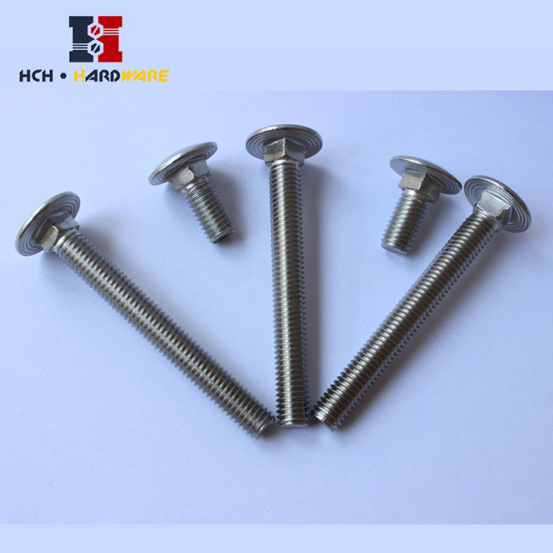 Full Threaded Stainless Carriage Bolt Coach Bolt Round Head Square Neck Bolt