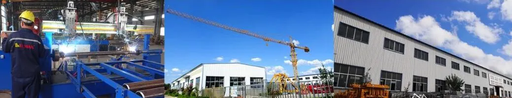 Construction Tower Cranes of Mini Types Tower Cranes with Low Price