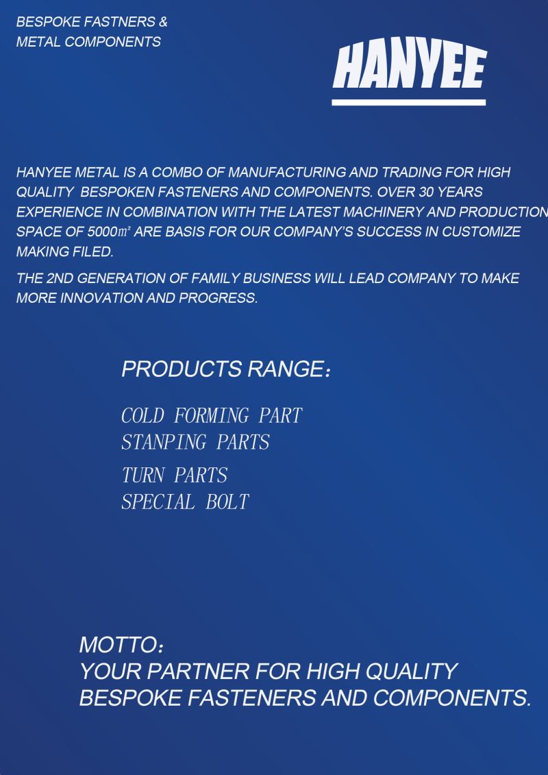 Professional Supplier Metal Fasteners OEM Bolt/Screw