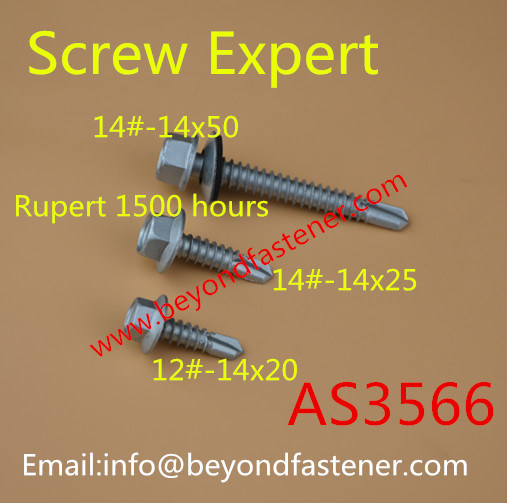 Screw/Self Tapping Screw/Fastener/Self Drilling Screw
