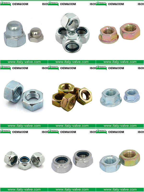 Factory Selling M2 M3 M6 M8 M10 Stainless Steel 304 DIN 934 Hex Lock Nut