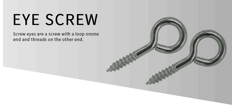 Stainless Steel Eye Screw Hook Woodscrew Cup Hook with Different Sizes