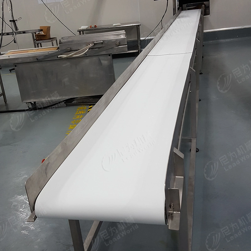 Food Grade Material Handling Equipment Conveyor Systems Conveyor Plastic Modular Belt Conveyor