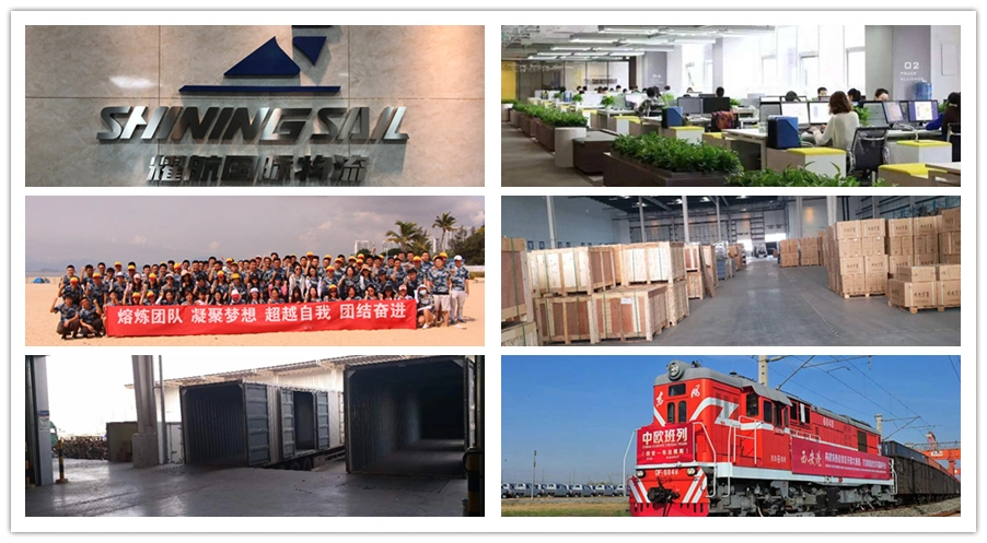 Railway DDP Logistics Service Railway Express Shipping China Forwarding Agent DDP From China to Spain
