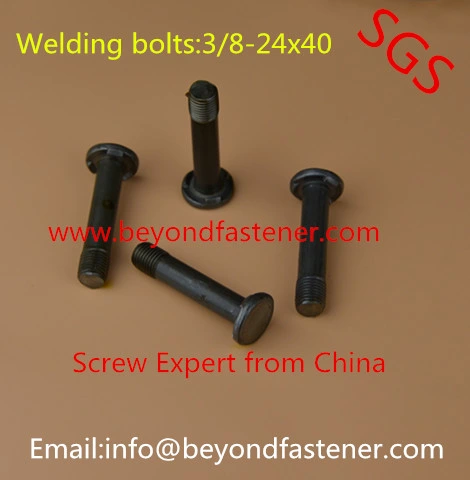 Terminal Cover Screw/Machine Screw/Bolts/Terminal Bolts/Terminal Screw