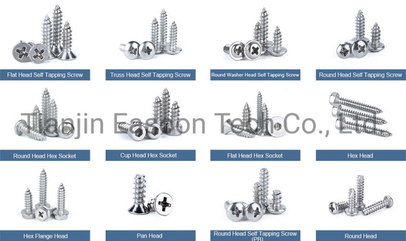 OEM Fastener Supplier China Fastener Wing Bolt and Nut with Cheap Price