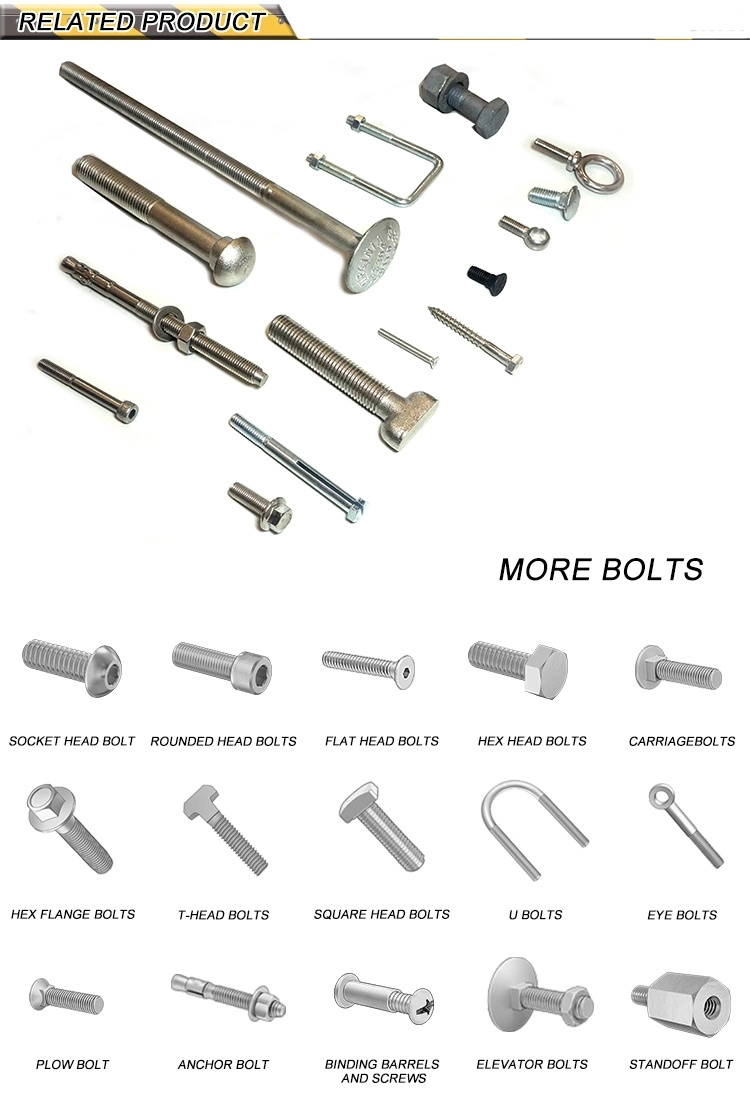 Solar Fastener DIN603 Stainless Steel Carriage Bolt M8