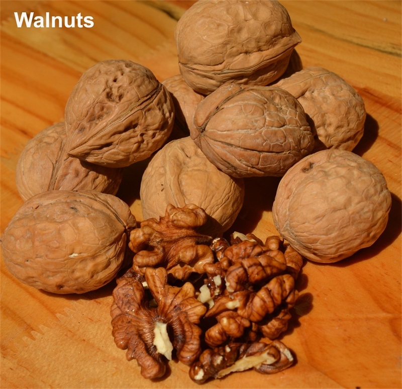 Thin Skin Walnuts Taihang Mountains Walnuts Organic Healthy Walnuts