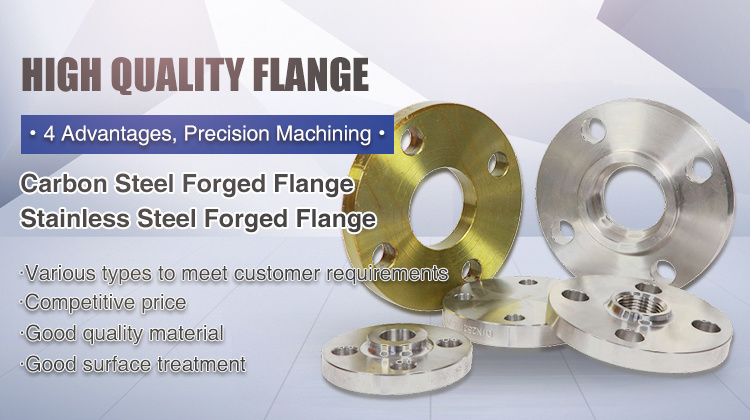 Forged Steel Slip on Flange/Welding Neck Flange/Socket Welding Flange/Blind Flange