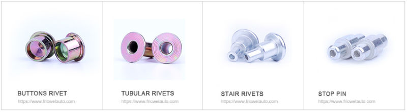 Fricwel Auto Parts Rivet The Rivent Metal Rivets Blind Nut Concave Flat Head Rivets Dt-Ab