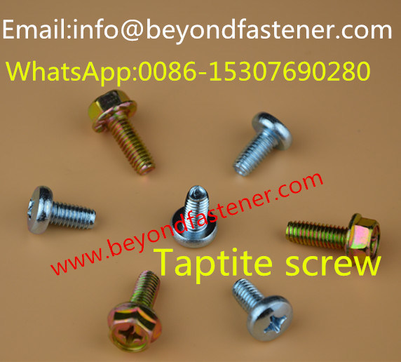 Screw/Bolts/Fastener/Machine Screw/Sealing Screw