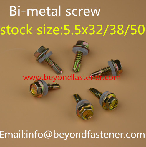 Torx Screw/Screw/Tapping Screw/Epoxy Screw Bimetal Screw Ruspert Screw