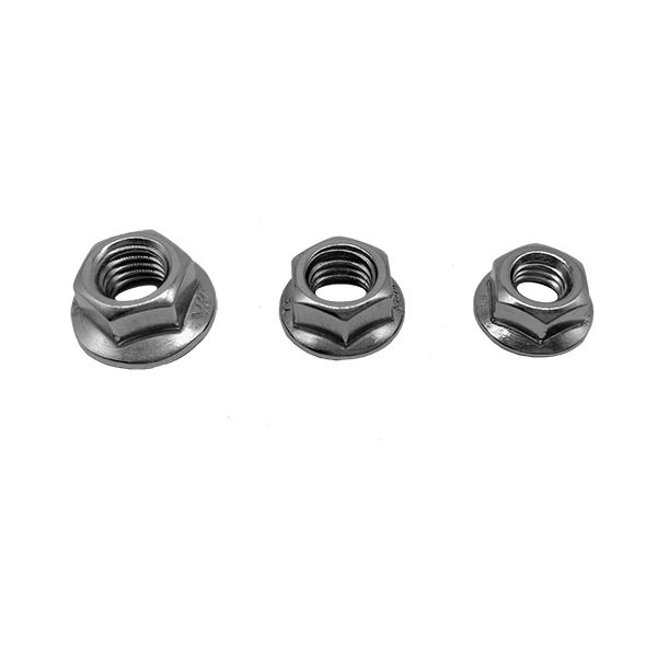 Stock Stainless Steel Serrated Hexagon Flange Nut DIN6923