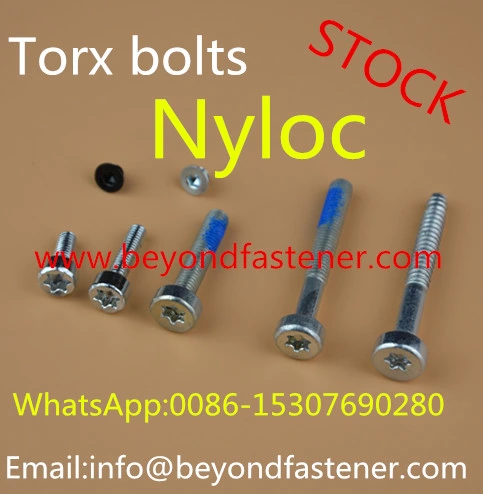 Torx Screw Bolts Nyloc Screw Patch Screw Patch Bolts Red Patch Nyloc Patch