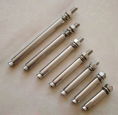 Customized Stainless Steel Hook Expansion Anchor Eye Bolt