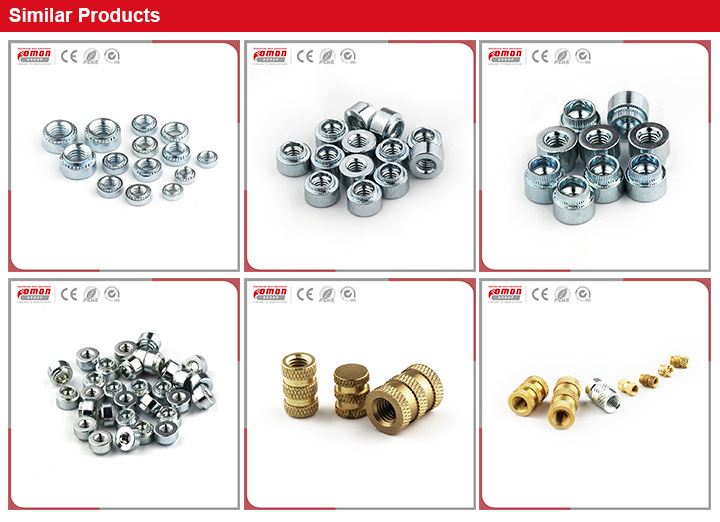 Common Round Head Stud Brass Screw Flange Bolt for Building