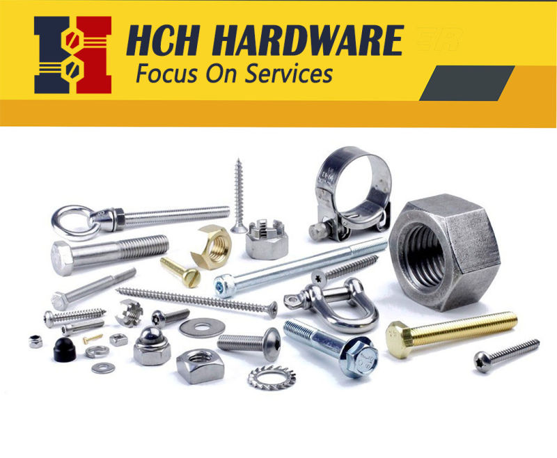 Eye Bolt/ Hex Bolt with Nut and Washer/ Tap Bolt/Flange Bolt/Anchor Bolt/U-Bolt/DIN933 Full Thread DIN931 Partial Thread