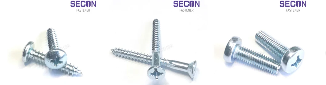 China Factory Supply Drywall Screw/ Self Tapping Screw/Self Drilling Screw/Chipboard Screw/Wood Screw/Roofing Screw/Machine Screw/Tornillo/Threaded Rod/Hex Bolt
