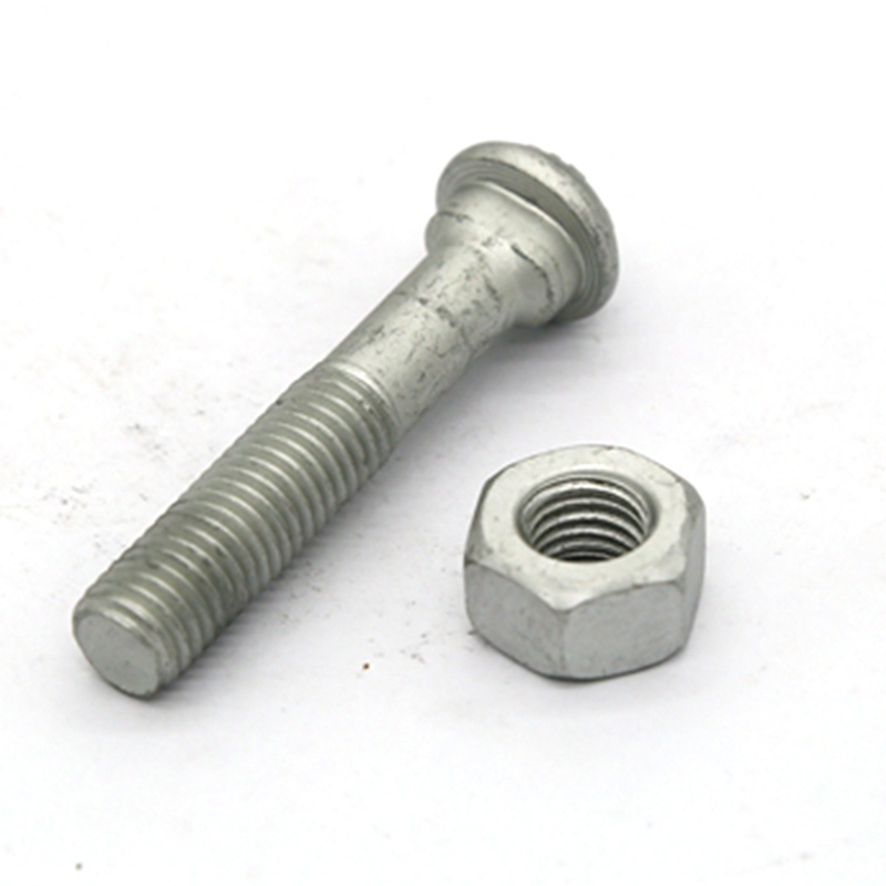 Carbon Steel Grade 8.8 M10 M16 Fish Bolt with Nut