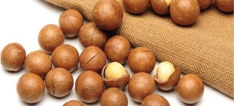 Meet Best-Seller Macadamia Nuts Organic and Common Nuts for Sale