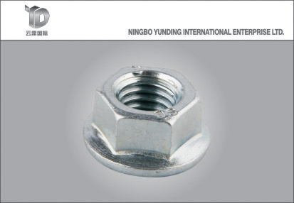Hex Flange Nut DIN6923 with Good Quality Nut