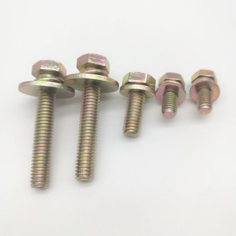 Hex Head Bolt with Flat Washer and Spring Washer