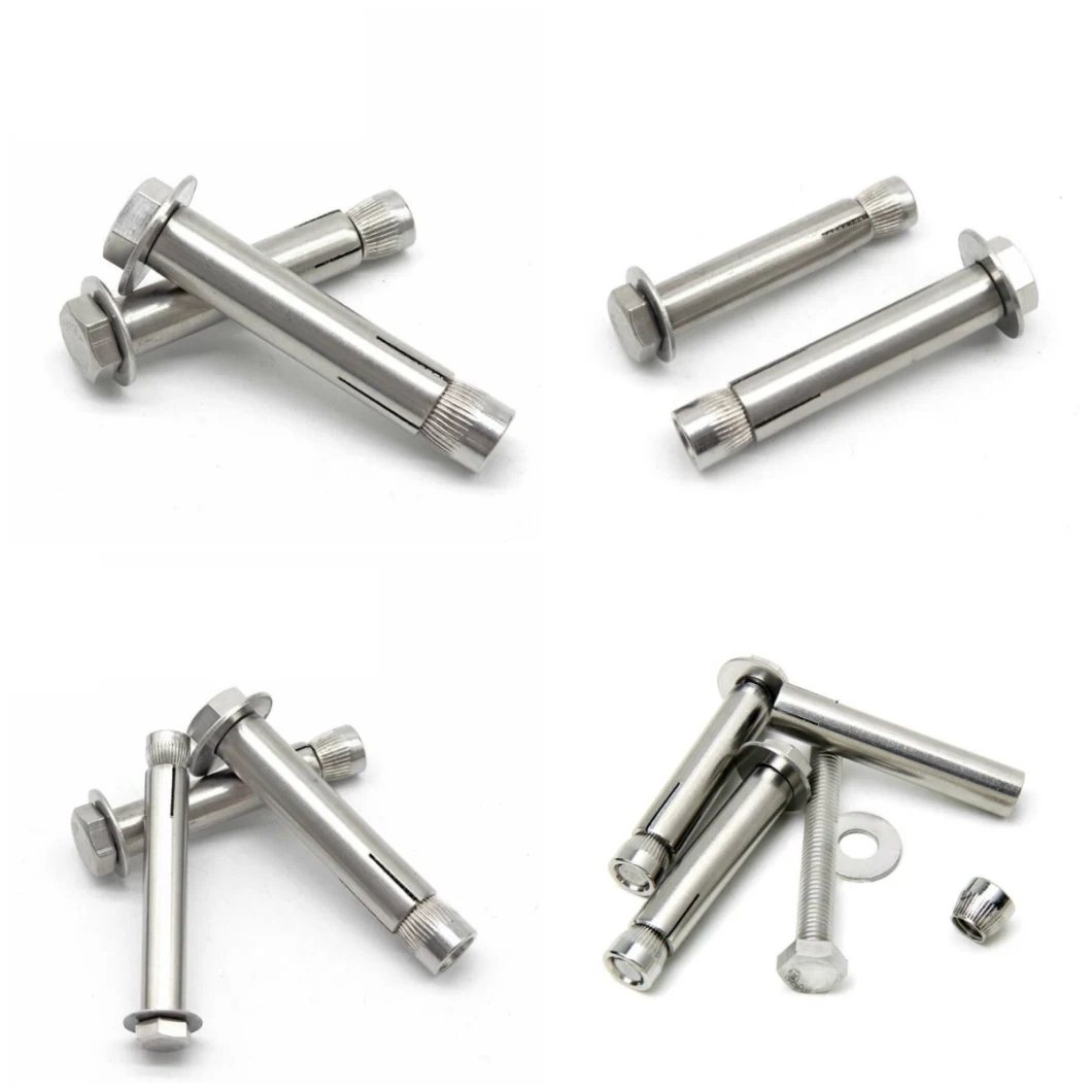 A2-70 A4-80 High Tensile Hex Head Sleeve Anchor Bolt with Flat Washer