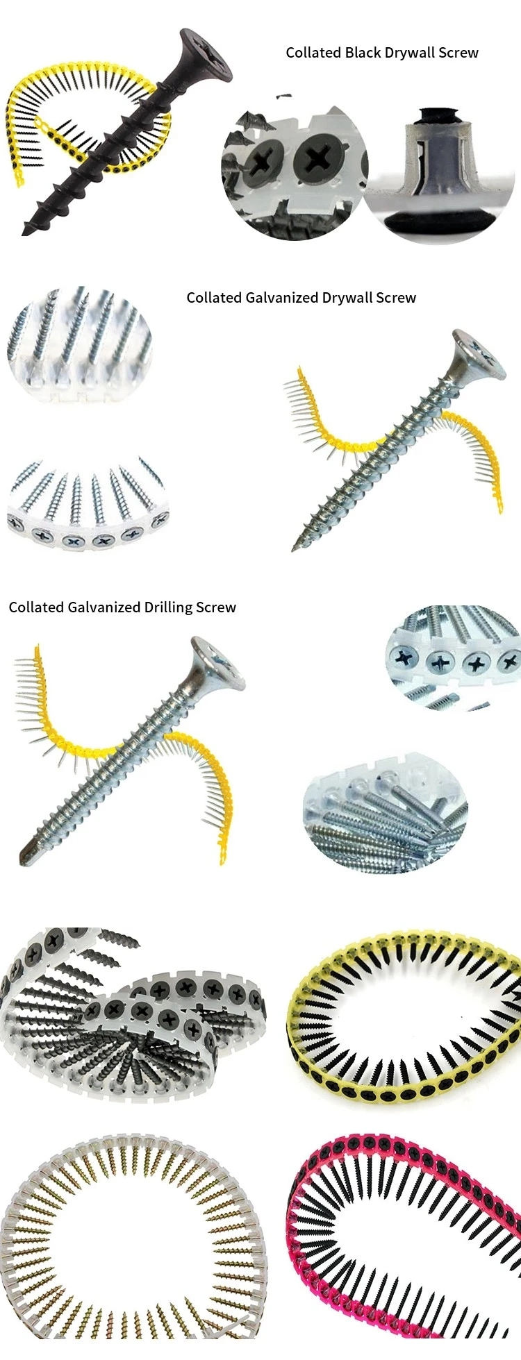 Drywall Collated Screw, Collated Tape Drywall Screw, Black Screw