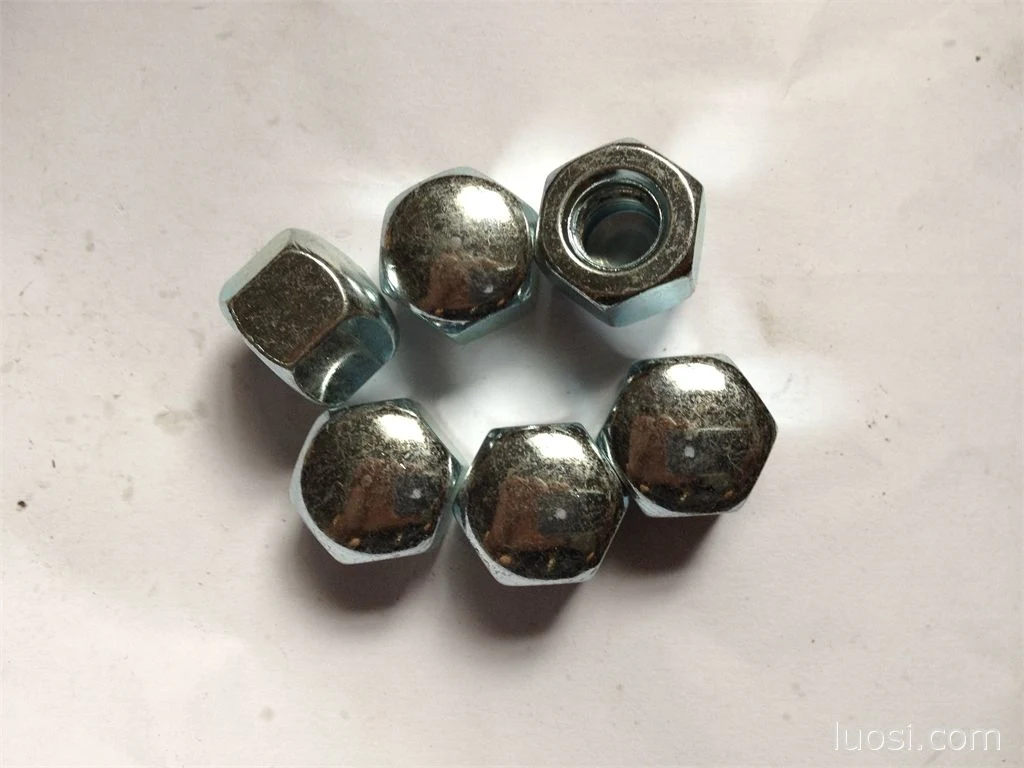 China DIN917 Hing Quality Hex Cap Nuts