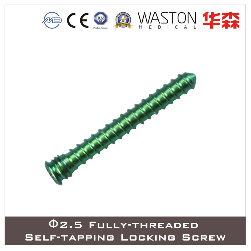 Titanium Locking Screw, Titanium, Fracture Orthopedic Screws, Self-Tapping Screws